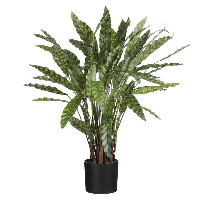 Sztuczna roślina w doniczce – Kalatea 84cm (z)