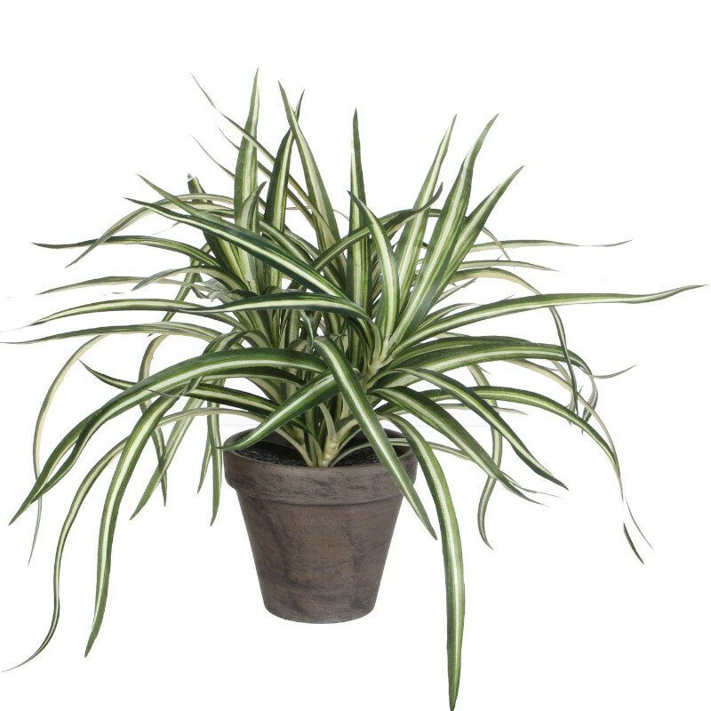 Sztuczna roślina w doniczce – Dracena 34cm