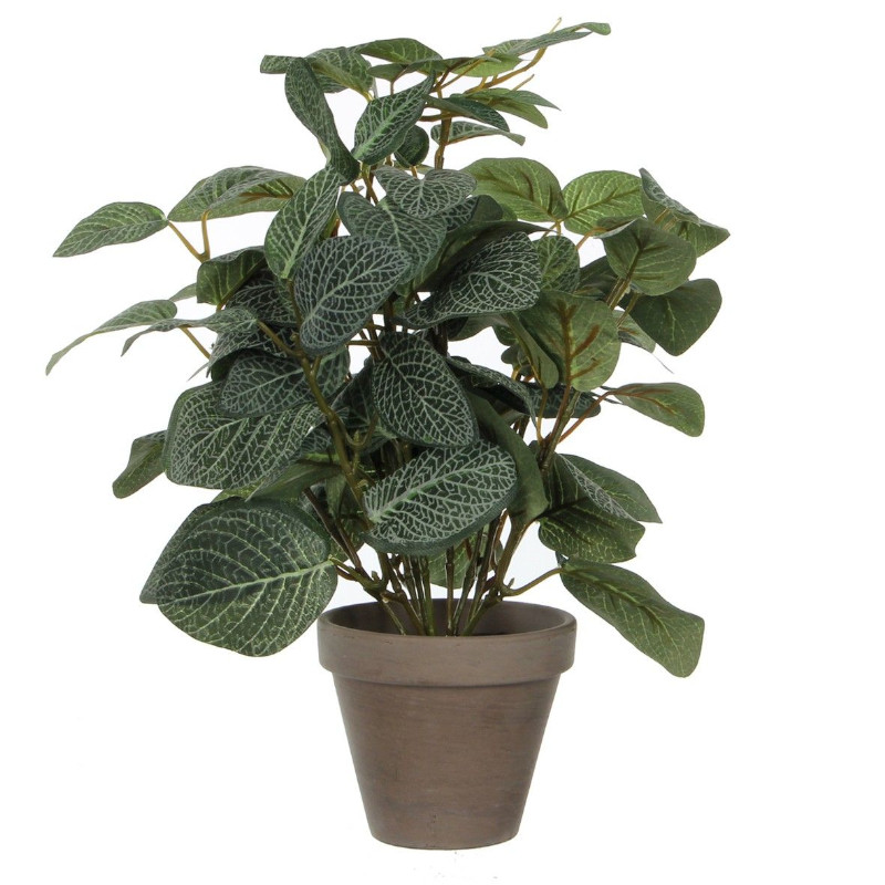 Sztuczna roślina w doniczce – Pilea 35cm