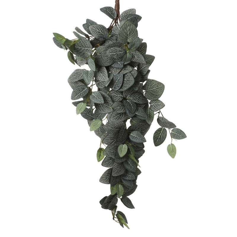 Sztuczna roślina wisząca – Fitonia 54cm
